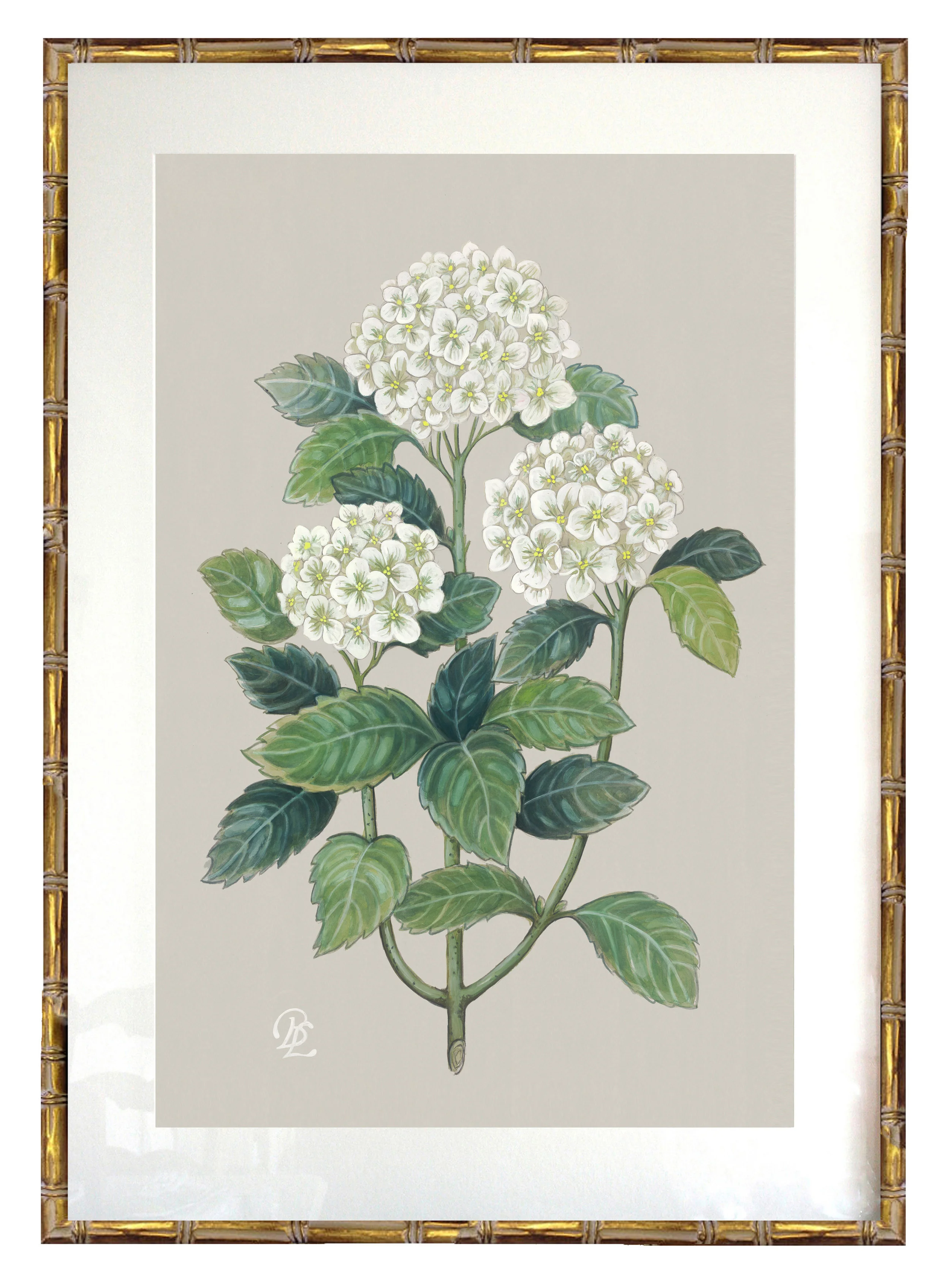 Hydrangea4936ページ Hydrangea — Verandah House Interiors